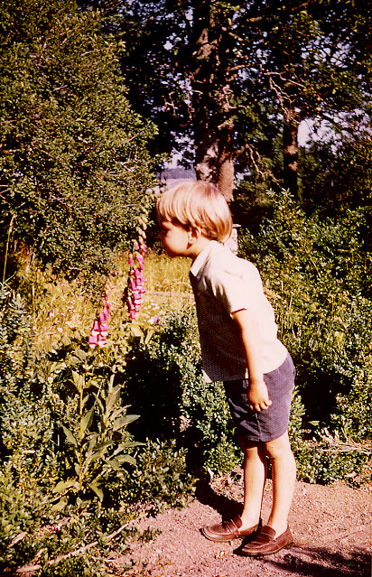 1970 slide by Arnold H. Nevis