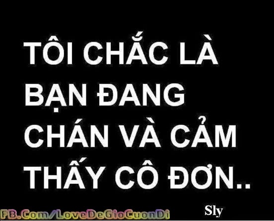  sua may tinh gia re 