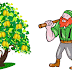 മരംവെട്ടുകാരനും തേന്‍മാവും - Woodcutter and Mango Tree