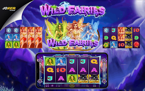 Slotxo wild fairies