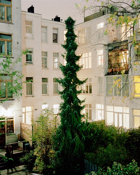 19_amsterdam6