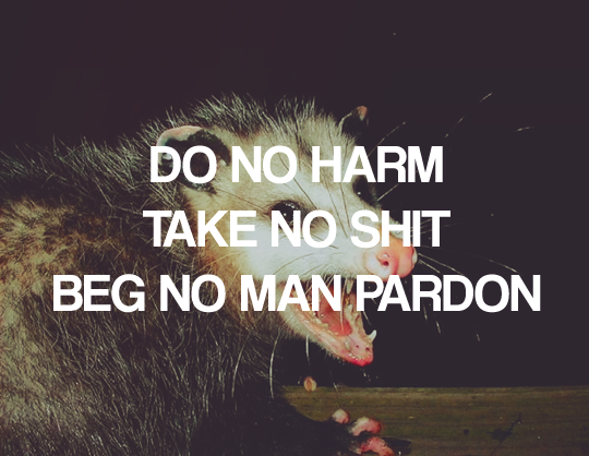 An oppossum with the words "Do no harm, take no shit, beg no man pardon."