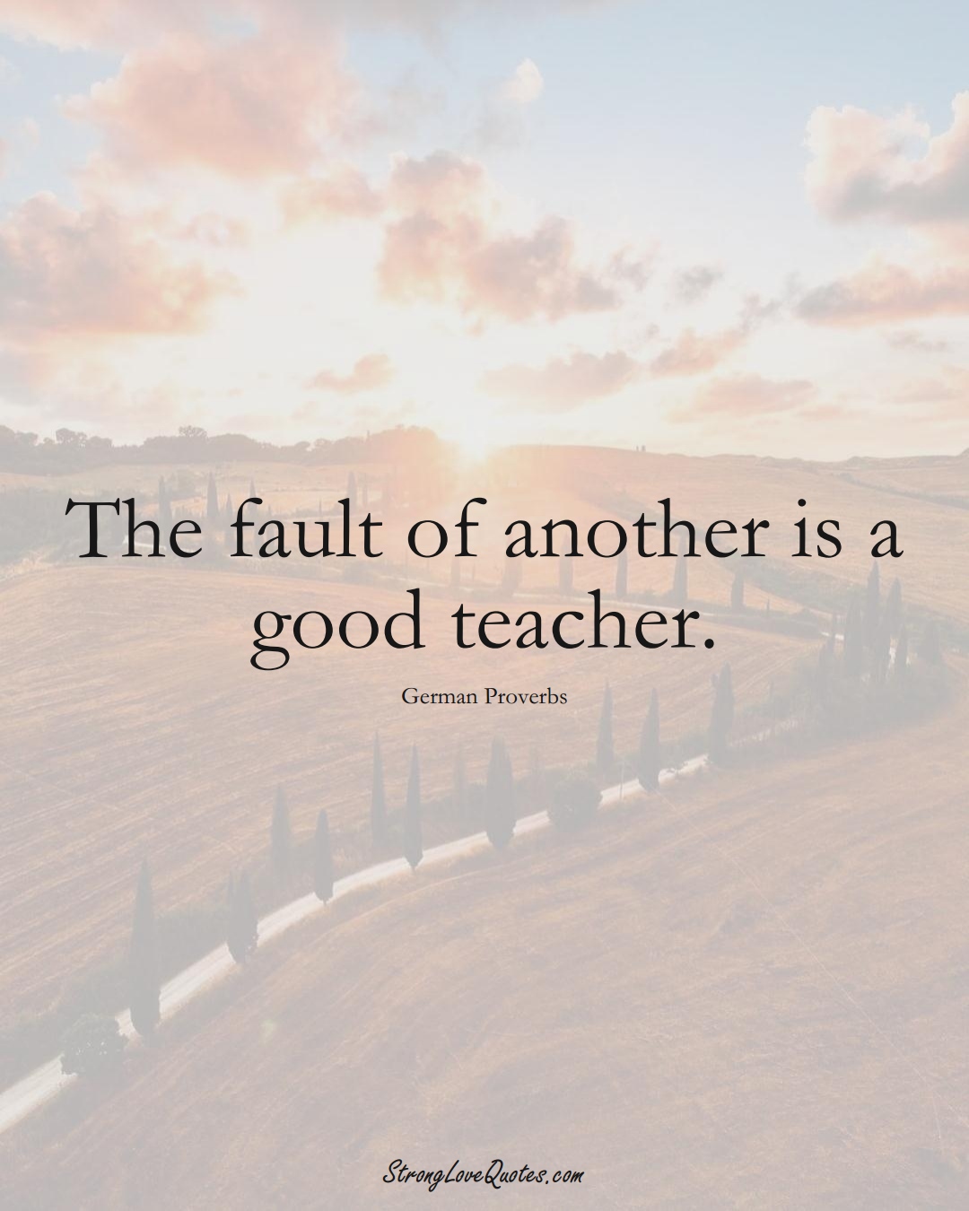 The fault of another is a good teacher. (German Sayings);  #EuropeanSayings