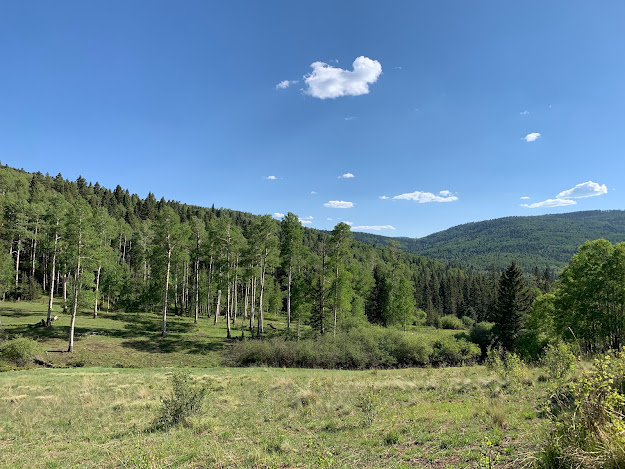 Camping in Carson National Forest/Taos