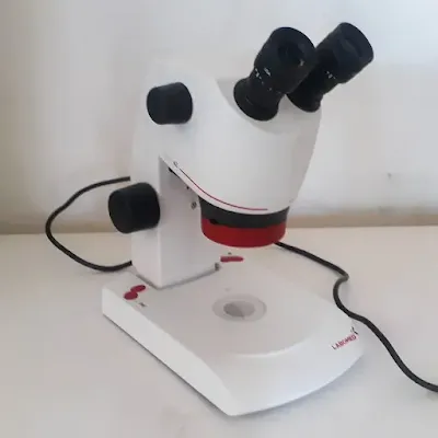 Luxeo 4Z Stereo Zoom Microscope