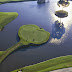 TPC At Sawgrass - Sawgrass Golf And Country Club