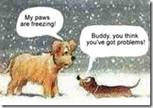 cold