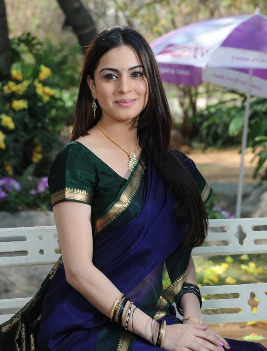 shraddha arya in saree unseen pics