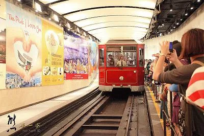 香港親子遊交通住宿、景點美食懶人包