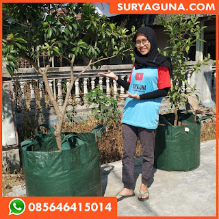 planter bag 100 liter murah dari suryaguna 085646415014