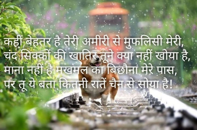 love shayari