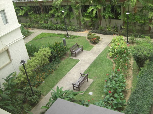 peaceful garden