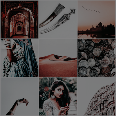 hunted by the sky tanaz bhathena moodboard aesthetic