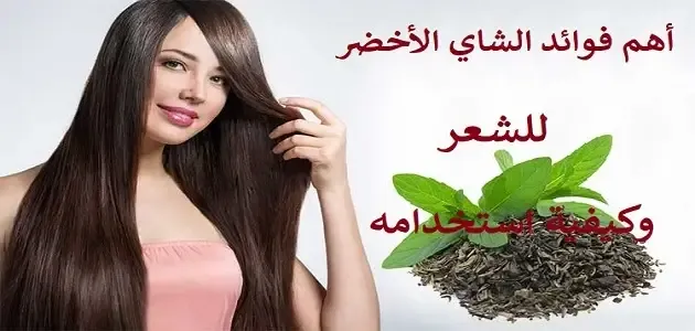 فوائد الشاي الاخضر للشعر وكيف يمكن تحسين صحة وجمال الشعر
