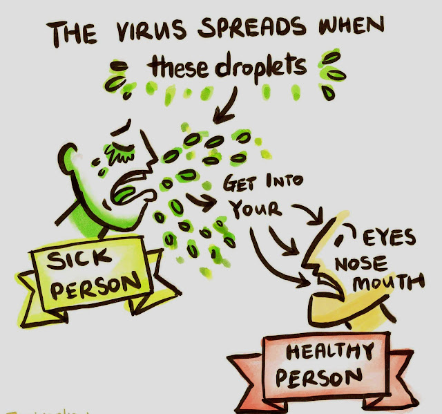 There only one Thing you Need to Understand About how a Coronavirus Spreads  Health and Beauty tips in Doha