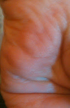Photo: