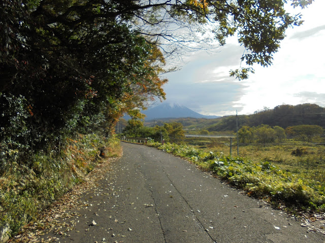 大山へ行くための道路を大山の方角に歩きます