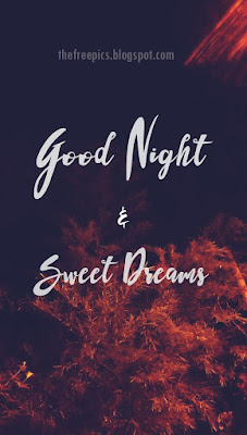 Sweet Dream wish Good Night Hd Images