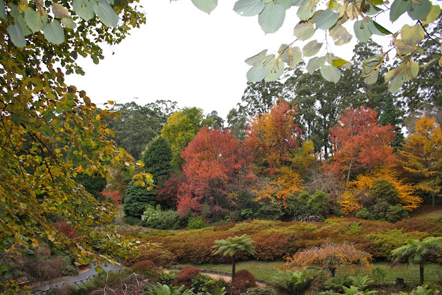 National Rhododendron Garden