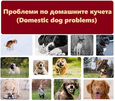Проблеми по домашните кучета
