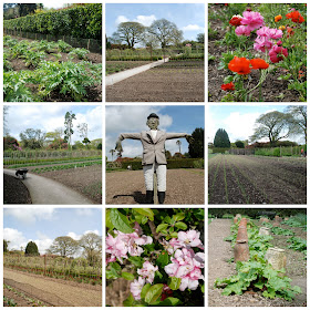 The Lost Gardens of Heligan