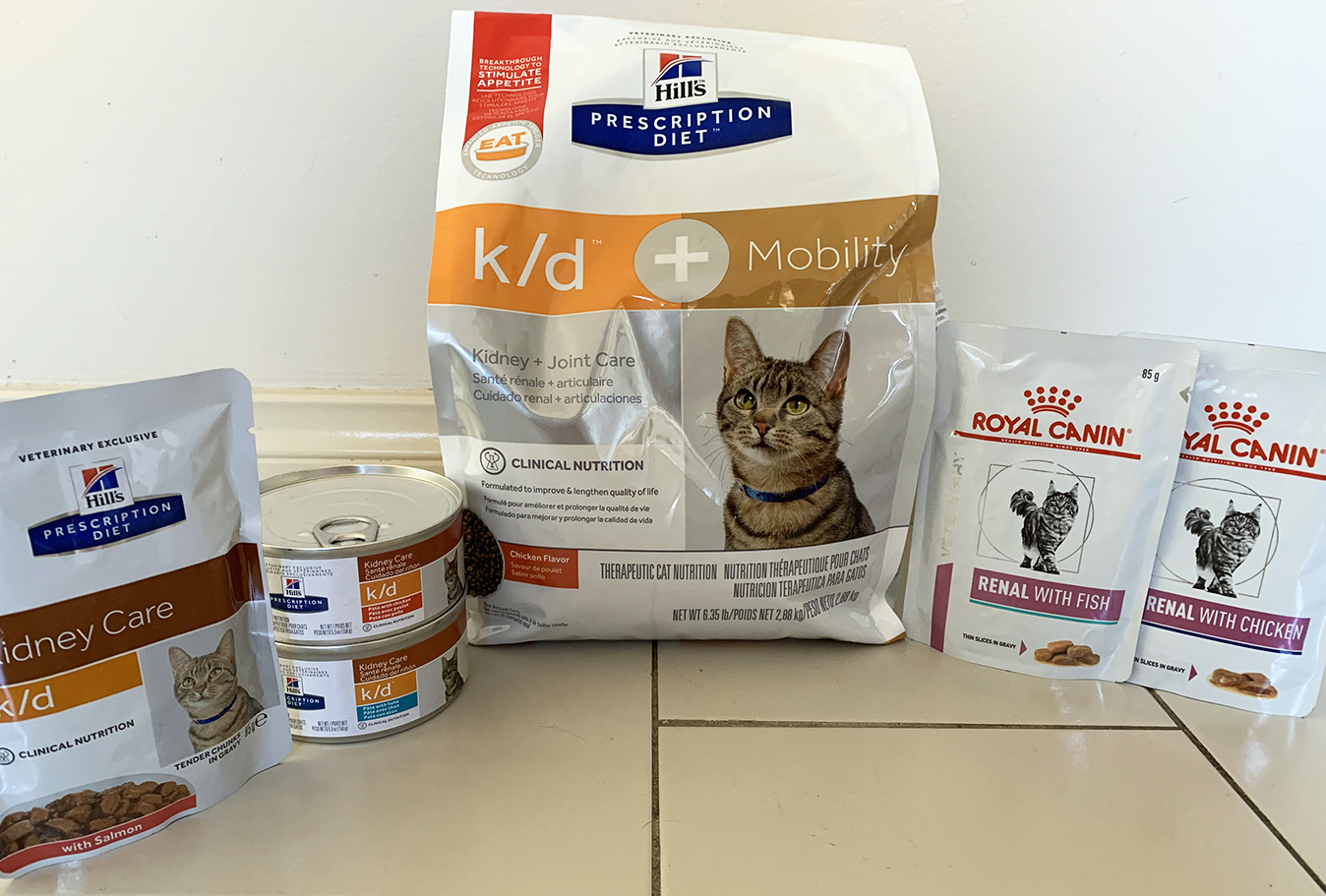 Chronic Kidney Disease in Cats: Treatment (Part 2) | Australian Cat Lover