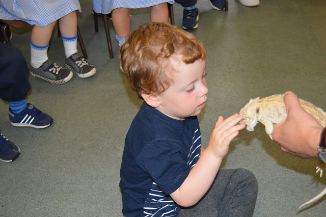 boy stroking a bearded dragon