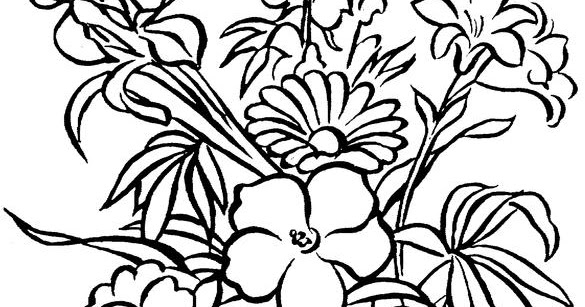 Coloring Pages For Seniors