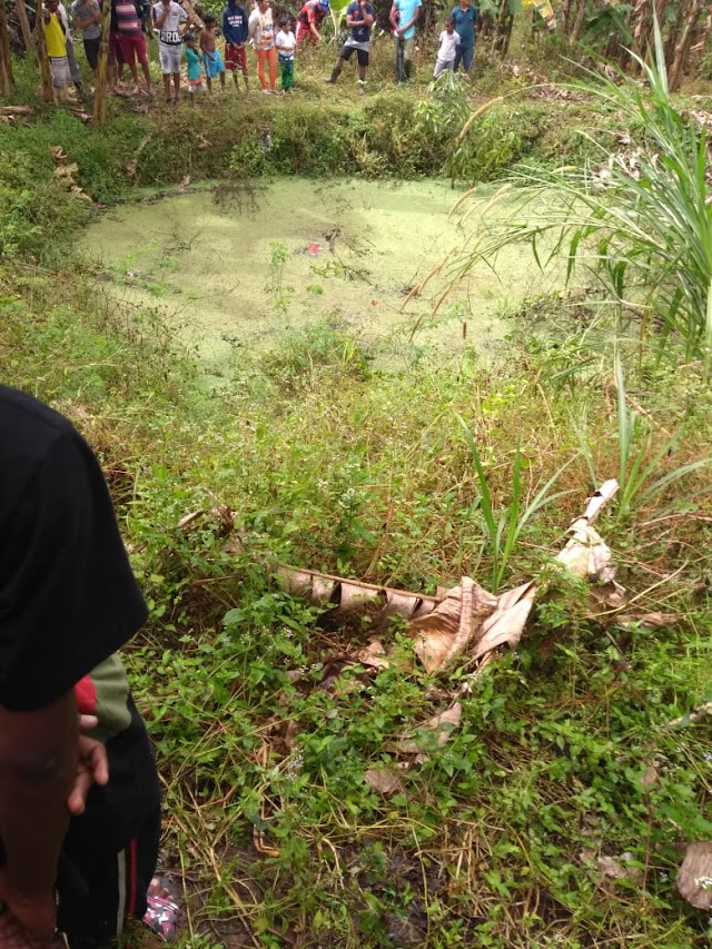 CRIANÇA É ENCONTRADA BOIANDO EM BARREIRO PRÓXIMO AO DISTRIO DE RAINHA ISABEL