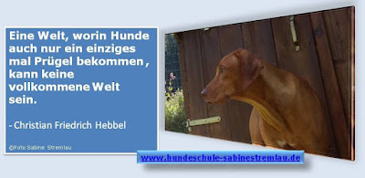 www.hundeschule-sabinestremlau.de