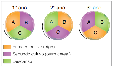 Resultado de imagem para ROTACAO TRIENAL DE CULTURas