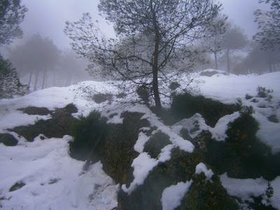 Nieve en Agres en la Serra Mariola. Autor: Miguel Alejandro Castillo Moya