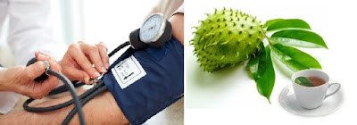 Soursop Leaves for Hypertension