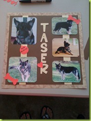 Taser (2)