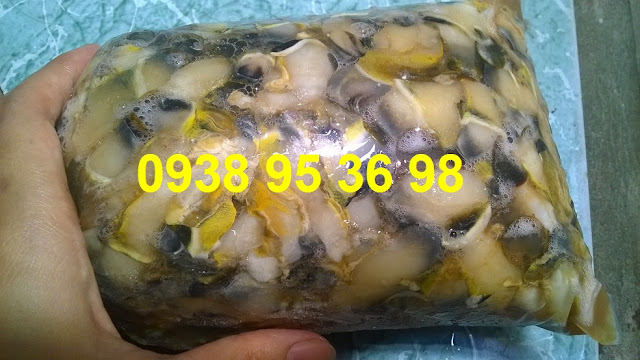 Bán hàu điếu sỉ và lẻ 0938 95 36 98  Giá mua cồi hàu điếu tốt nhất tại Sài Gòn, bán cồi hàu điếu giá rẻ ngon tại Sài Gòn, thịt ốc san hô, thịt hàu điếu, cung cấp ruột hàu điếu giá rẻ nhất, hàu điếu giao hàng tận nơi.   Các món ngon từ cồi hàu điếu - thịt ốc san hô: Hàu điếu nhúng lẩu, cồi hàu điếu nấu canh hoặc súp, ruột ốc san hô nhúng chanh chấm mù tạt, hàu điếu xào sa tế, hàu điếu sả ớt, cồi hàu điếu xào bơ tỏi, hàu điếu xào mì, hàu điếu nấu bún, cồi hàu điếu nấu cháo đều rất ngon,...  Liên hệ 0938 95 36 98