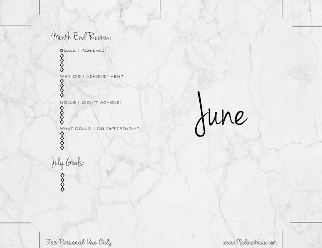  Goal Setting Monthly Inserts for Planner - Printable Marble