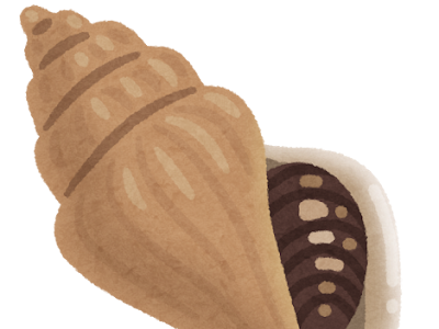 画像をダウンロード 巻貝 イラスト 143275-巻貝 イラスト