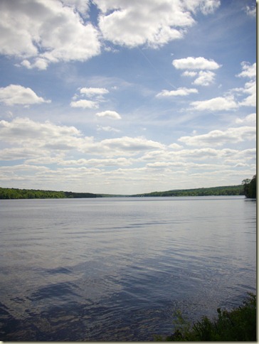 IMGP7481