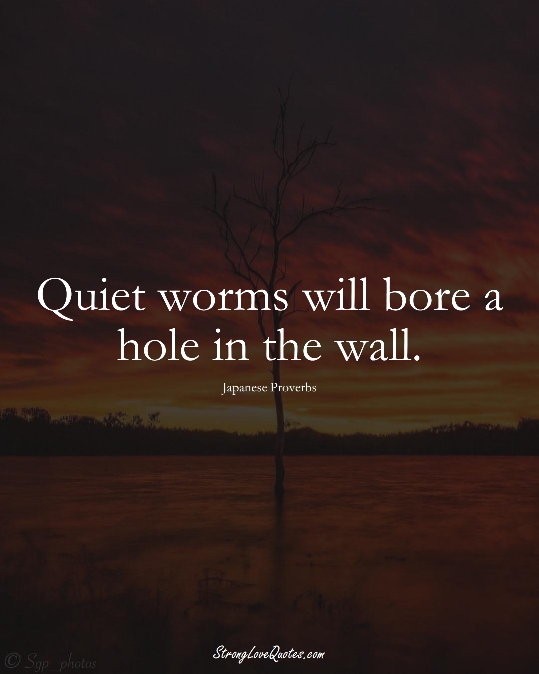 Quiet worms will bore a hole in the wall. (Japanese Sayings);  #AsianSayings
