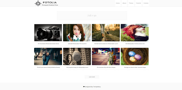 fotolia blogger template