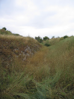 Fort Bodzów