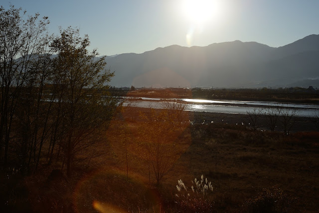 ニコンD610 身近な風景 釜無川 土手 山梨