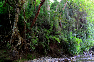 Rio Viejo, Puriscal, Costa Rica