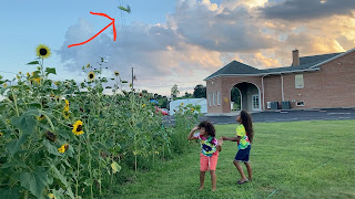 Girls gardening while corn is thrown overhead