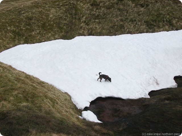 snow patch cross fell
