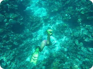P1020654