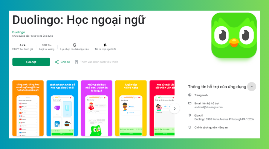 App học tiếng Anh Duolingo
