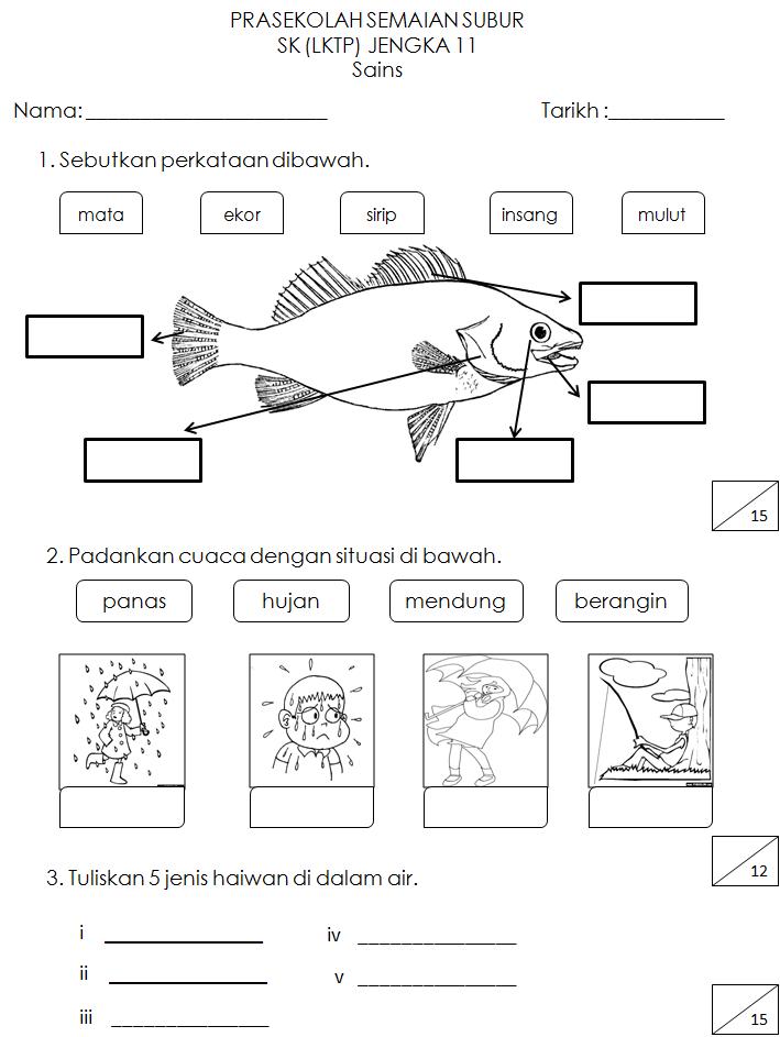 CIKGU EELA (IL) PRESCHOOLERS @ PCE: Latihan B.Malaysia dan 