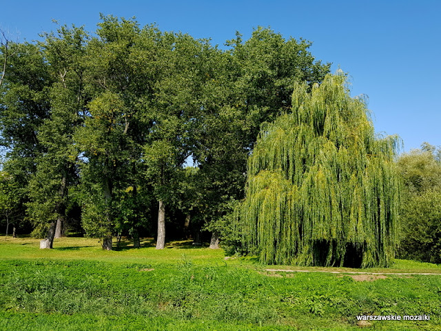 Warszawa Warsaw Mokotów park parki teren zielony Dolinka Służewiecka drzewa