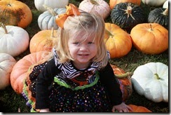 fall 081